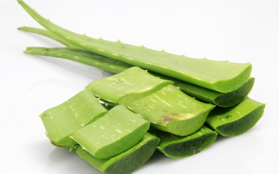 What Does Aloe Vera Do For Your Skin?