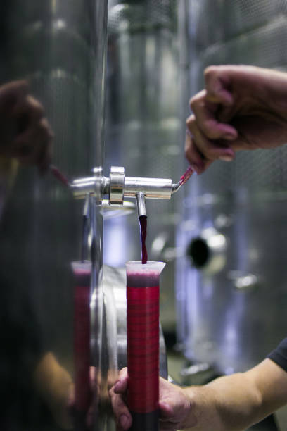 Close up view of a hydrometer used while testing the sugar in wine